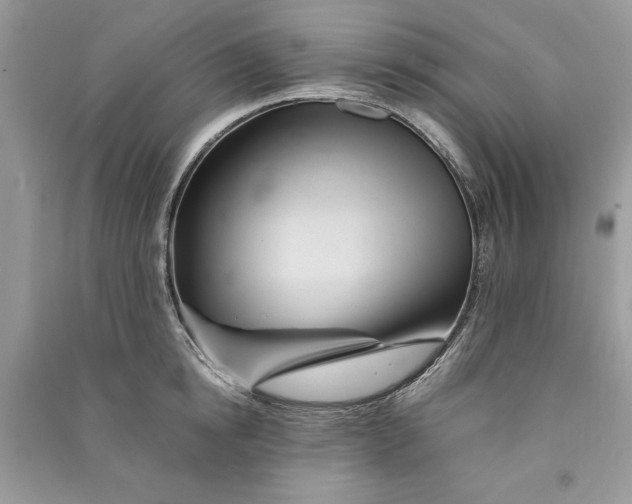 X0000090860854200708101218