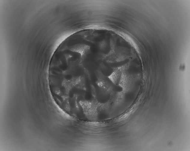 X0000090860855200708101218