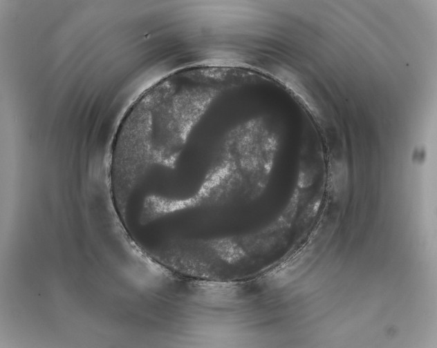 X0000090860856200708101218