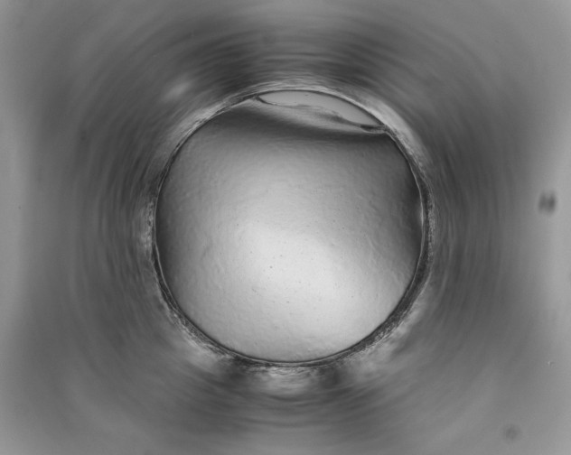 X0000090860857200708101218