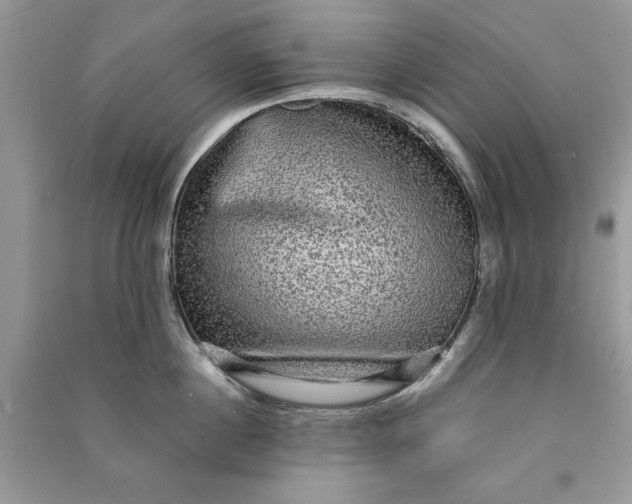 X0000090860860200708101218