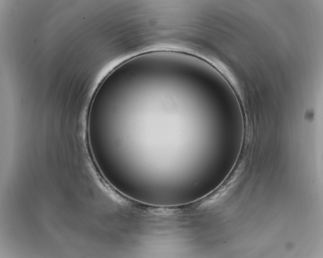 X0000090860862200708101218