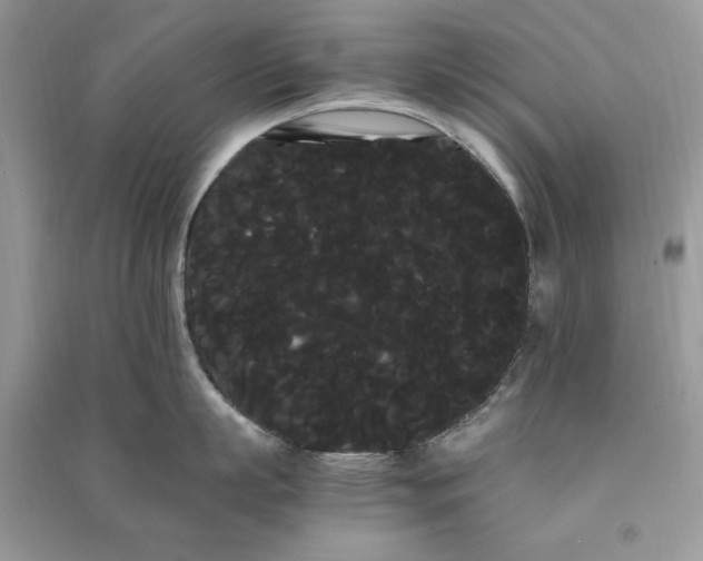 X0000090860863200708101218