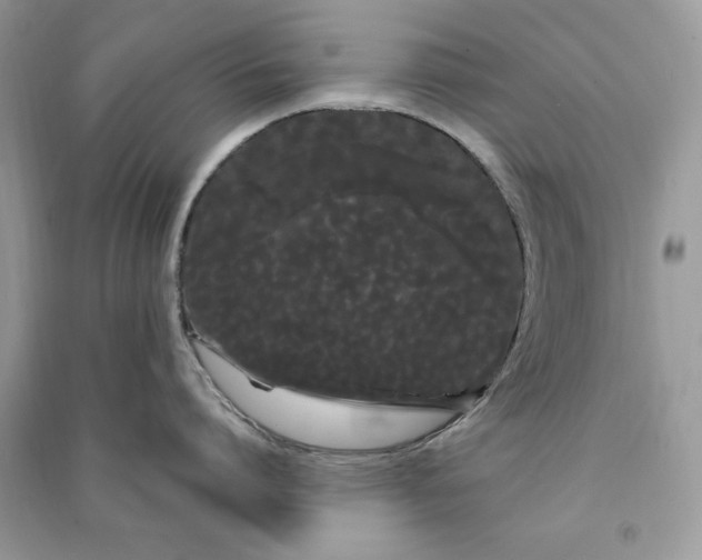 X0000090860864200708101218