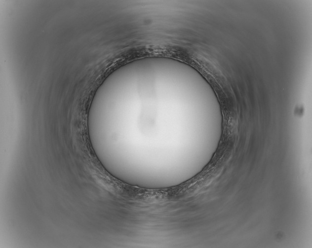 X0000090860865200708101217