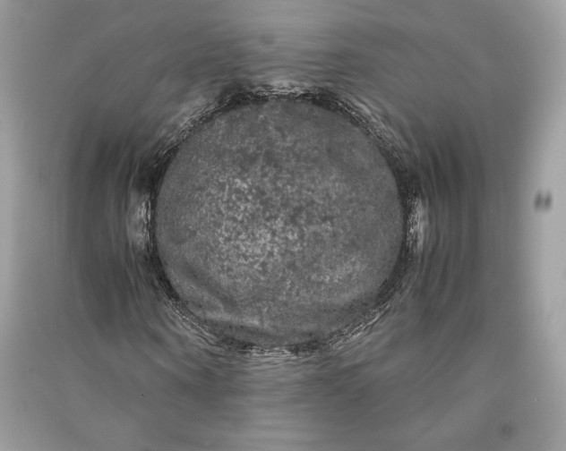 X0000090860866200708101217