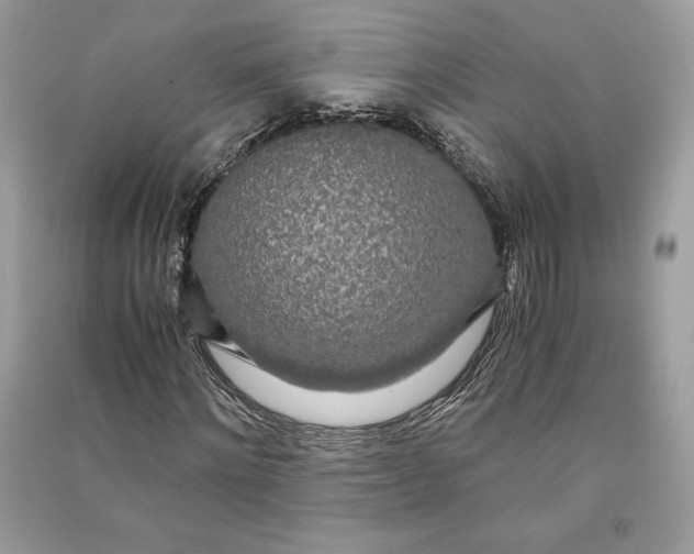 X0000090860868200708101217