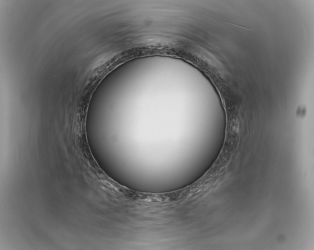 X0000090860869200708101217