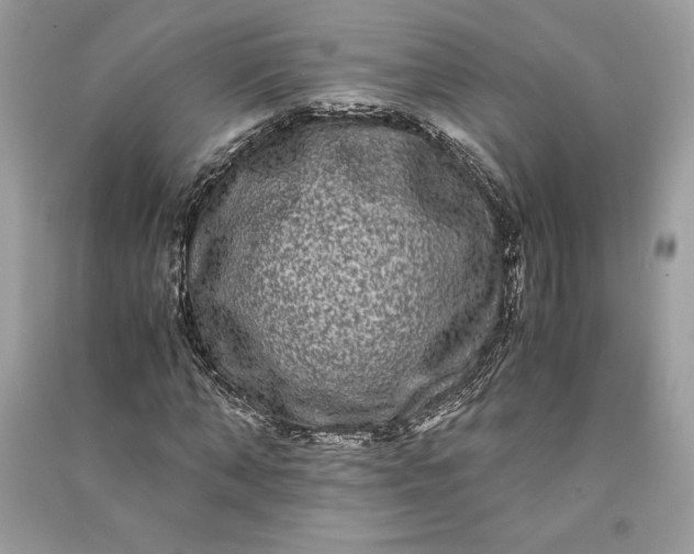 X0000090860870200708101217