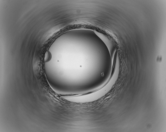 X0000090860872200708101217