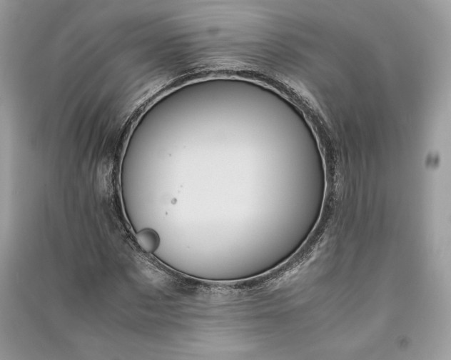 X0000090860873200708101217