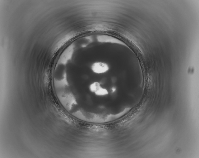 X0000090860874200708101217