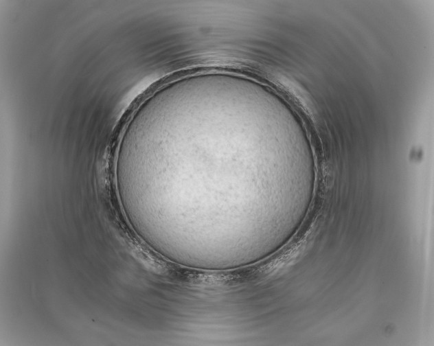 X0000090860875200708101217