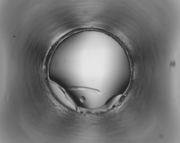 X0000090860876200708101217