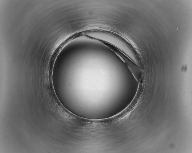 X0000090860877200708101217