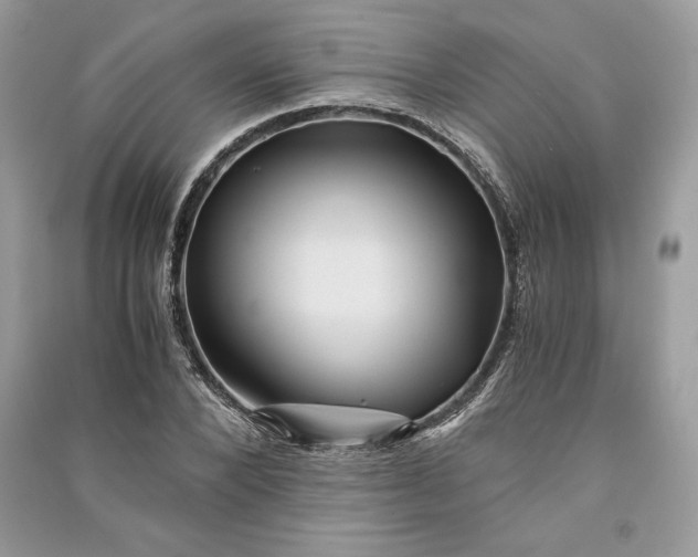 X0000090860880200708101217