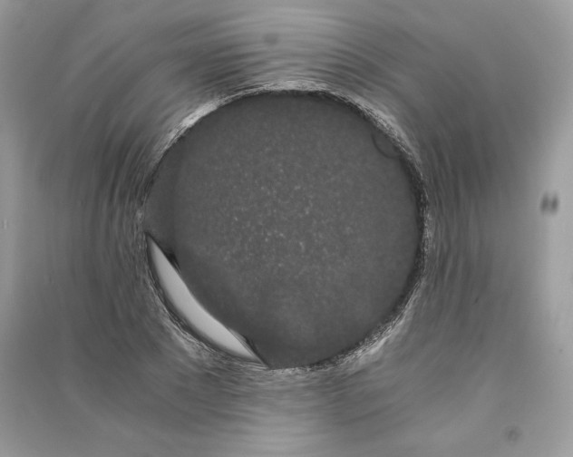 X0000090860881200708101217