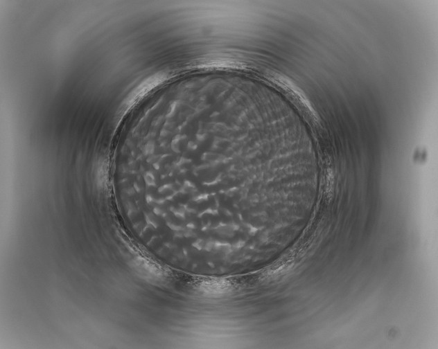 X0000090860882200708101217