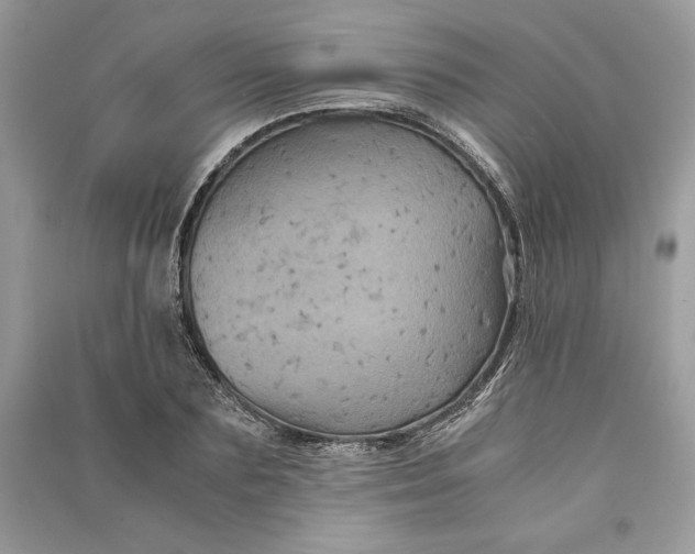 X0000090860883200708101217