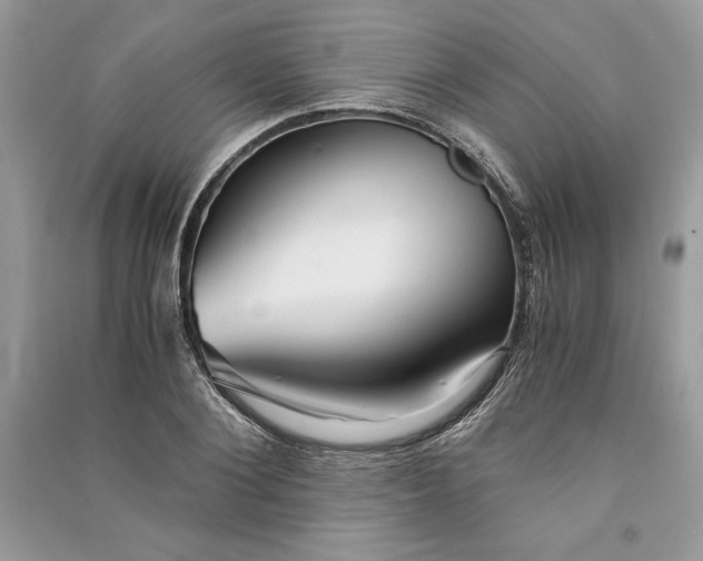 X0000090860884200708101217