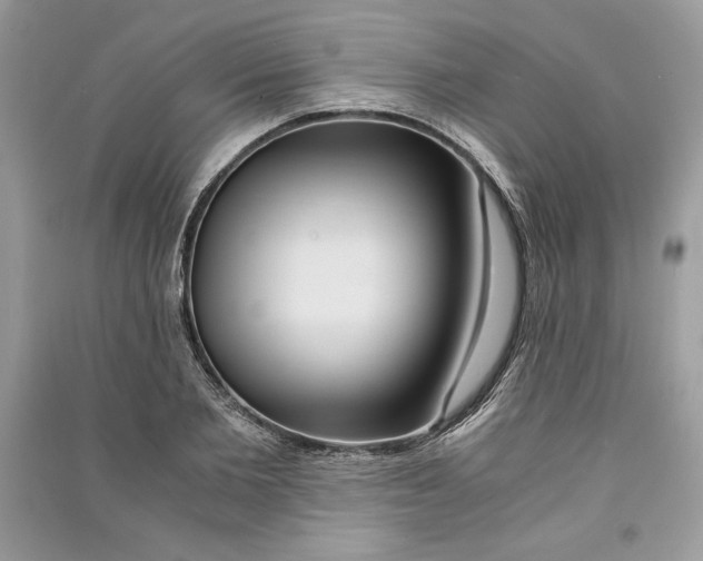 X0000090860885200708101217