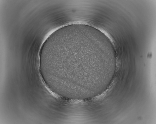 X0000090860886200708101217