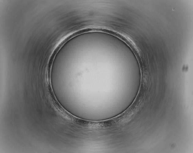 X0000090860887200708101217