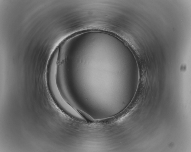 X0000090860888200708101217