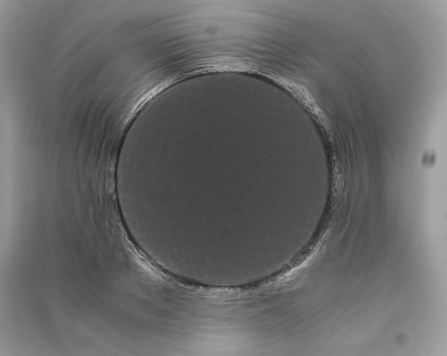 X0000090860889200708101217