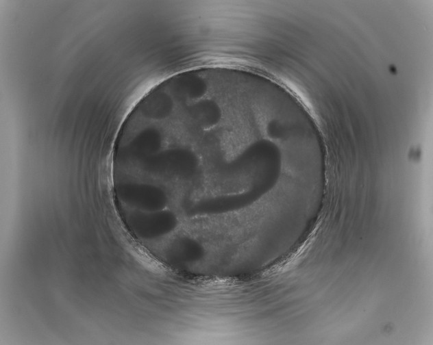 X0000090860891200708101217