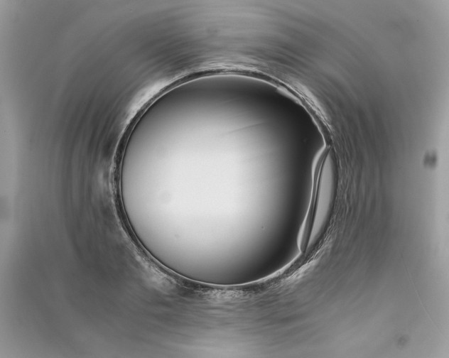 X0000090860893200708101217