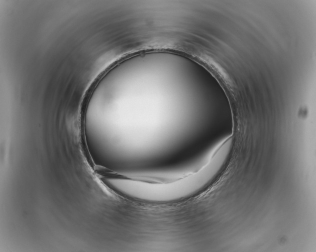 X0000090860894200708101217