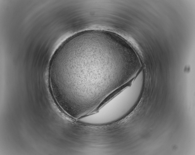 X0000090860896200708101217