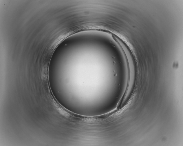 X0000090860897200708101217