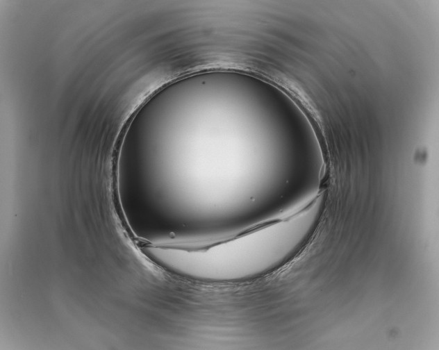 X0000090860898200708101217