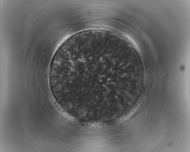 X0000090860899200708101217