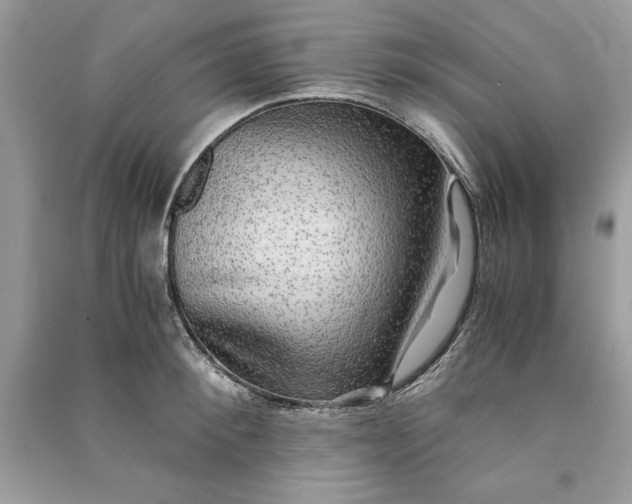 X0000090860900200708101217