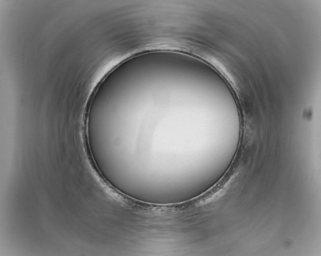 X0000090860901200708101217