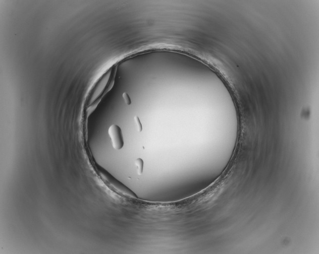 X0000090860902200708101217