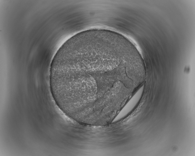 X0000090860903200708101217