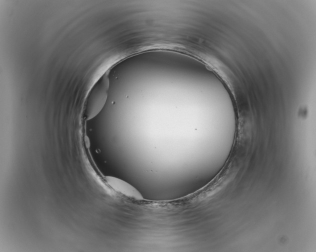 X0000090860906200708101217