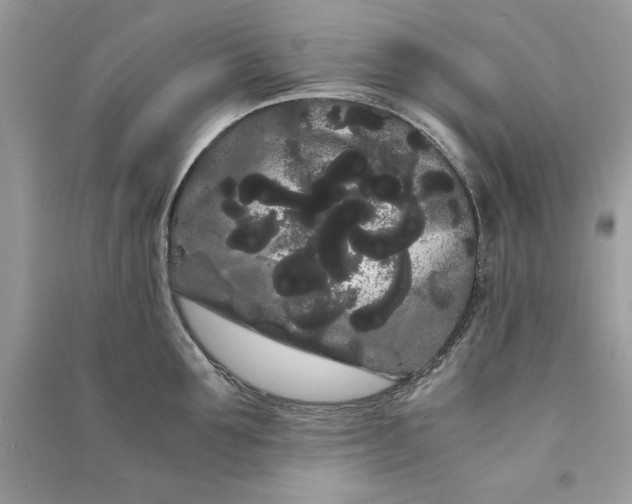 X0000090860907200708101217