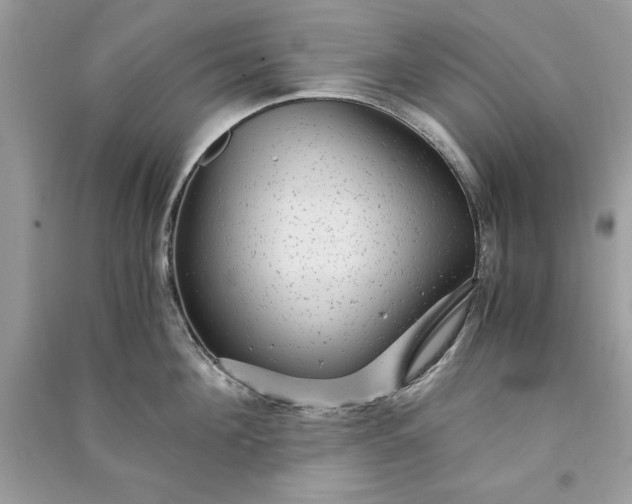 X0000090860908200708101217