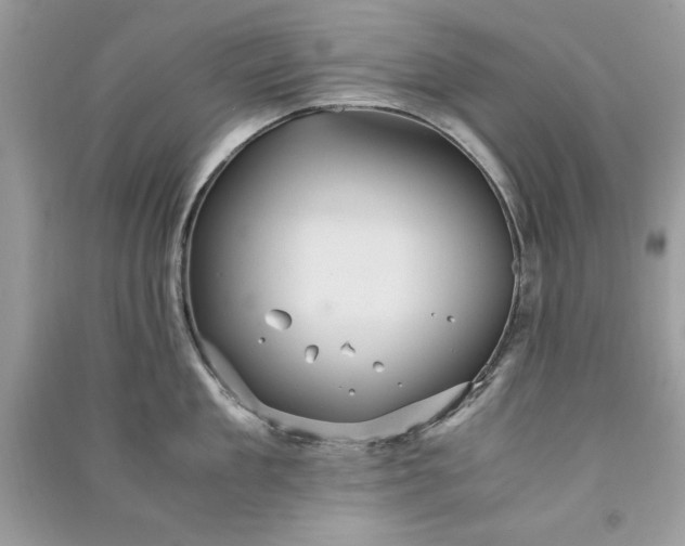 X0000090860909200708101217