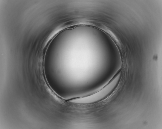 X0000090860910200708101217