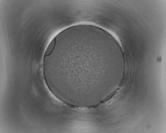 X0000090860911200708101217