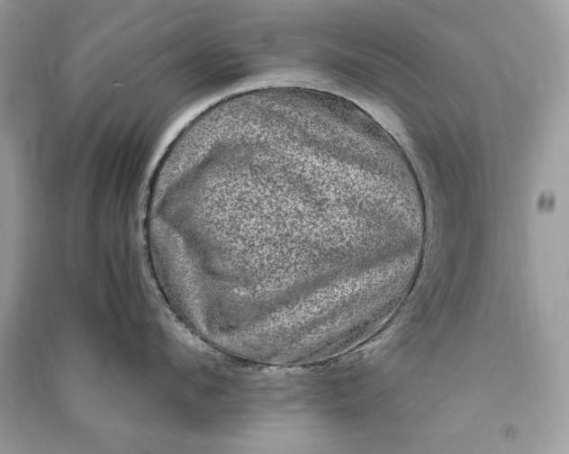 X0000090860912200708101217