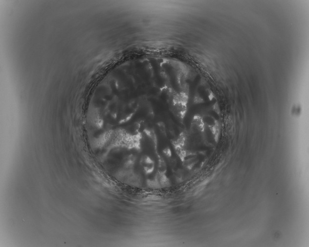 X0000090860913200708101216