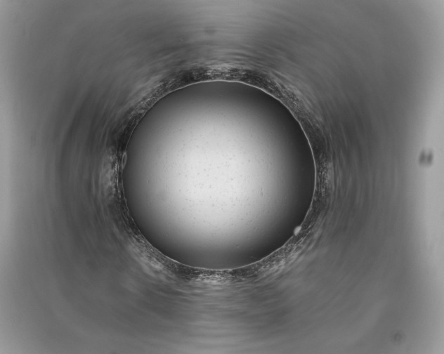 X0000090860914200708101216