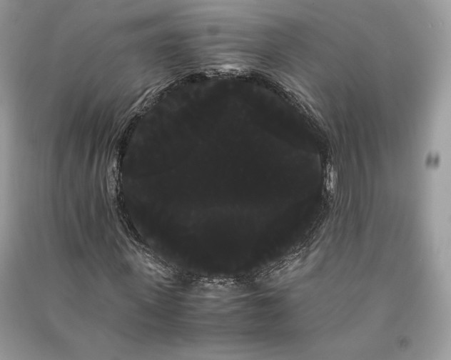 X0000090860915200708101216